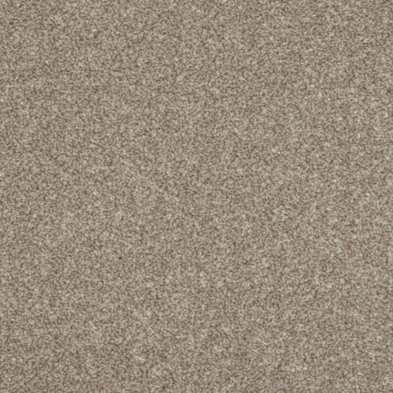 Turin saxony carpet in colour Macadamia